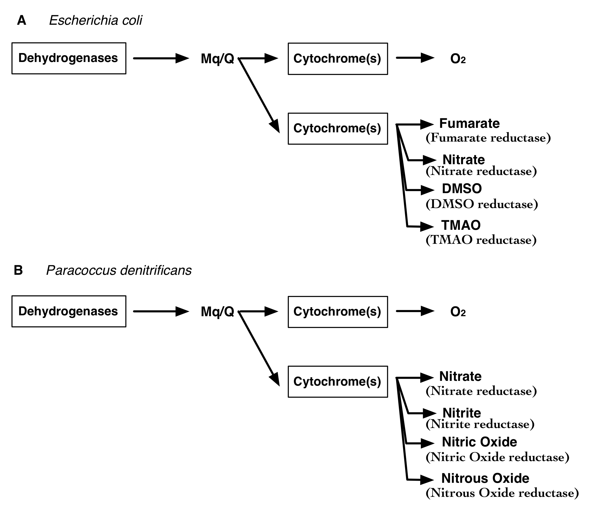 figure1
