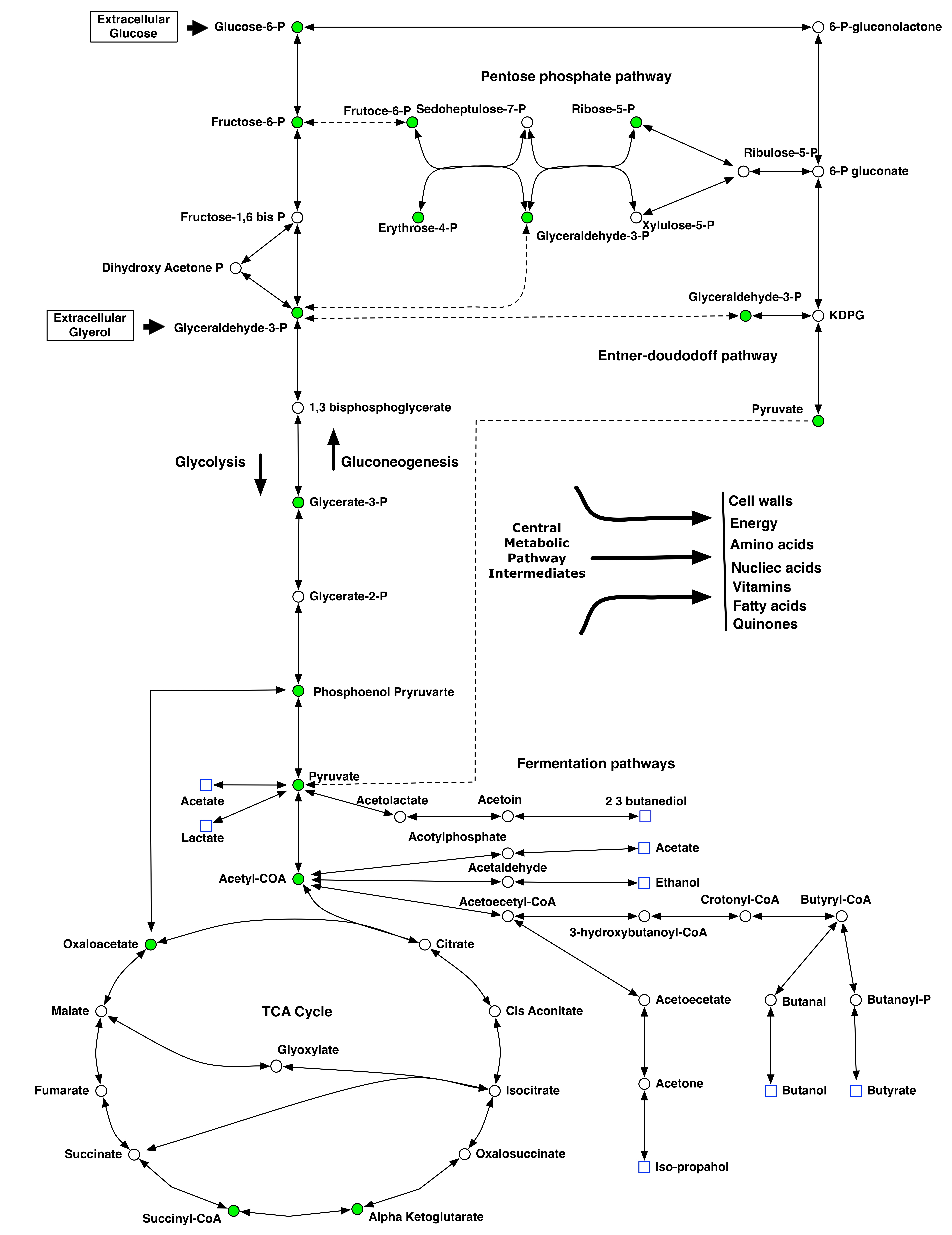 figure1